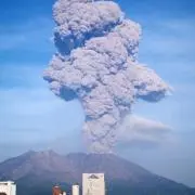 yotsu44の画像