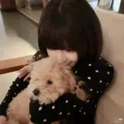 なの画像