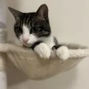 aYuの画像