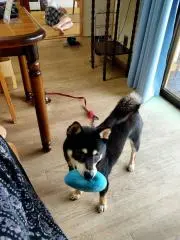 まさまさの画像