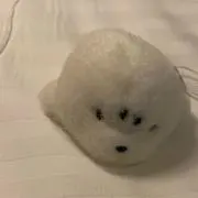 やまさんの画像