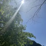 そらぽんの画像