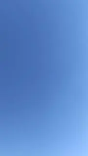 Dの画像