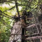 タイミングの画像