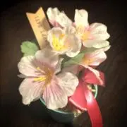 bon!!