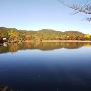KOHの画像