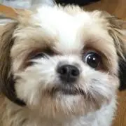 さっと