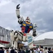 LLの画像