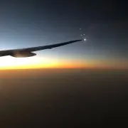 ハナマサの画像