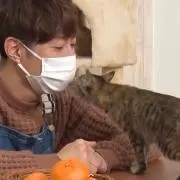 ゆあの画像
