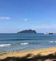 ゆずの画像