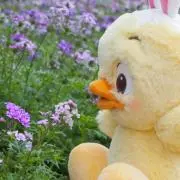 りんご⚠️プロフ必読の画像