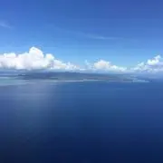 みかんの画像