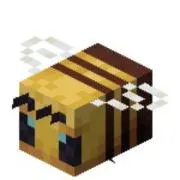 ハチ⭐️の画像