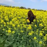 じゃすみん
