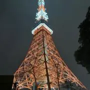たまご⭐️の画像