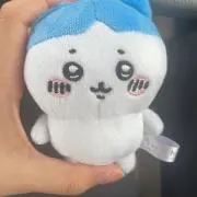 りの画像