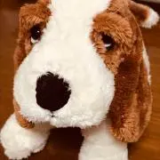 viviの画像