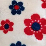 キティーの画像