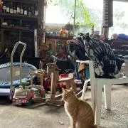 アメリカ製ユーロ派の画像