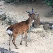 モネリザ