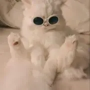 Luoの画像