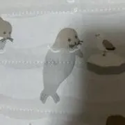 ヒロの画像