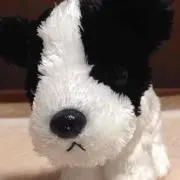 ゆか
