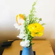 ごんざれす