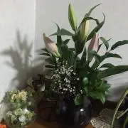 mi