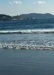 Rの画像