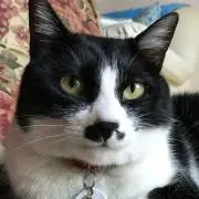 るる