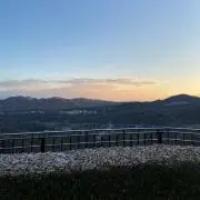 sssの画像