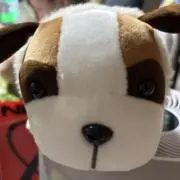 ちょこっとの画像