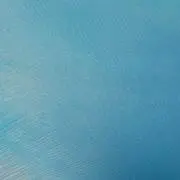 ゆう