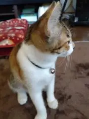 まあちゃんの画像