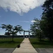 N・H・Pの画像