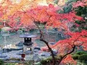 松野の画像