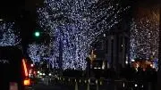 FLASHの画像