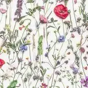 teko✳︎プロフ確認お願いしますの画像