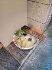 つね