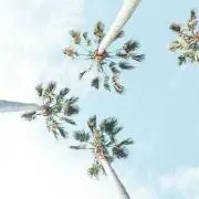 ⭐︎