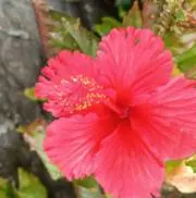 永茉　プロフ確認必須の画像