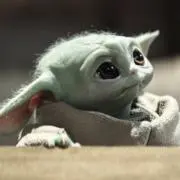 NR
