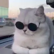 もち麦(購入前プロフ確認お願いします！)