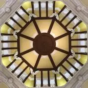 とっとの画像