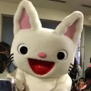 hiyoko☆☆の画像