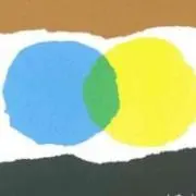 キミドリ