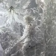 EUGOVの画像