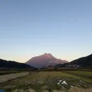 ロースの画像